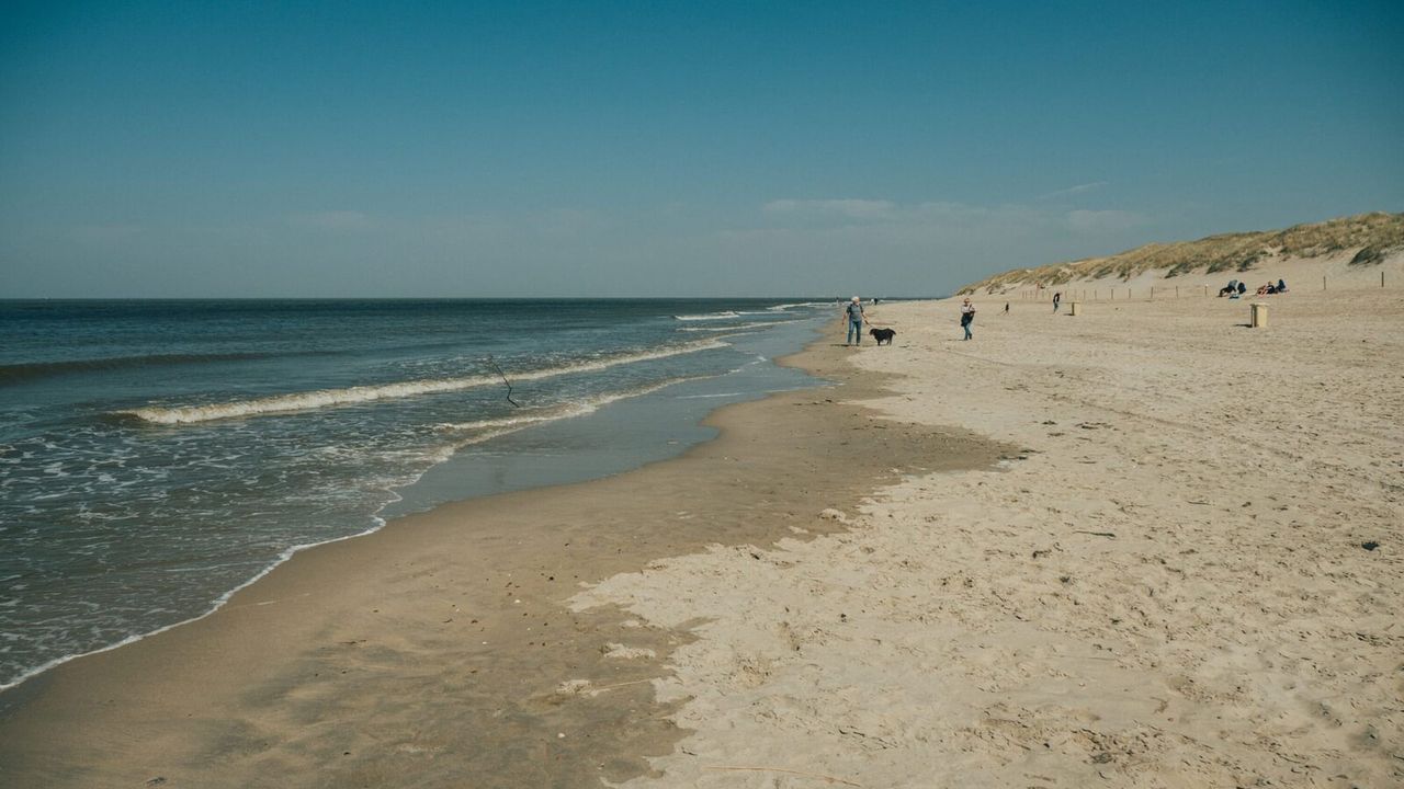 AreaSummer1KM AreaSummer1KM